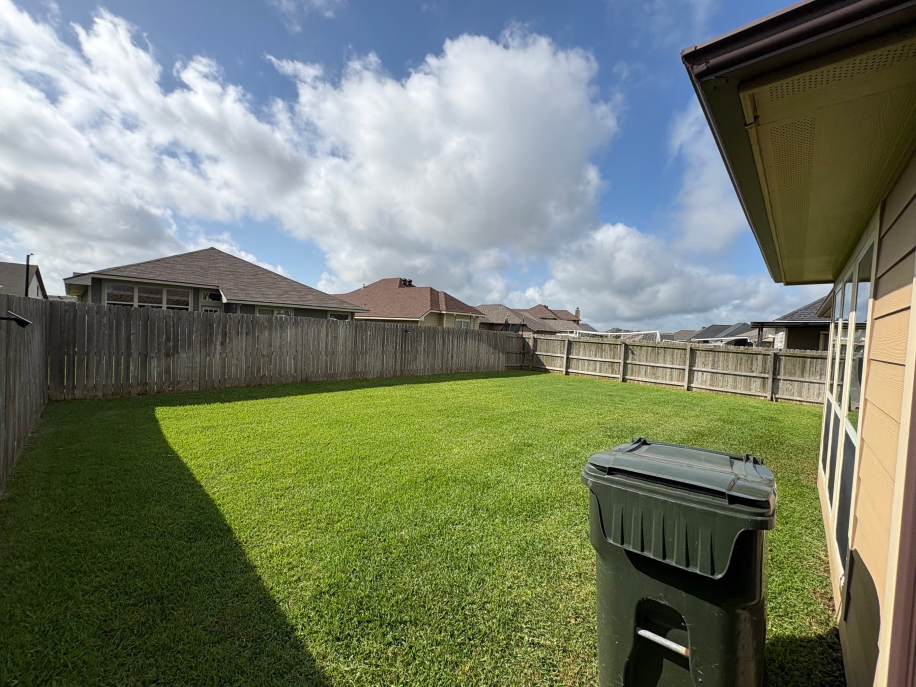 Backyard lawn maintenance and cleanup
