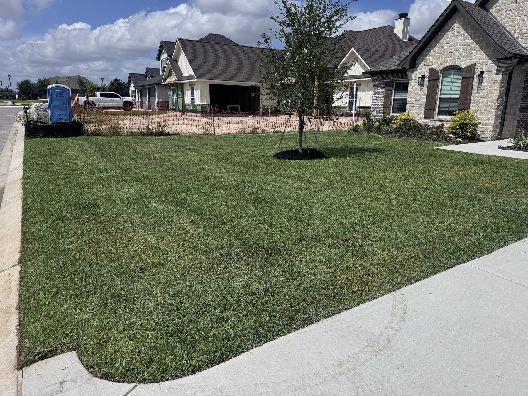 Neatly mowed and edged residential lawn